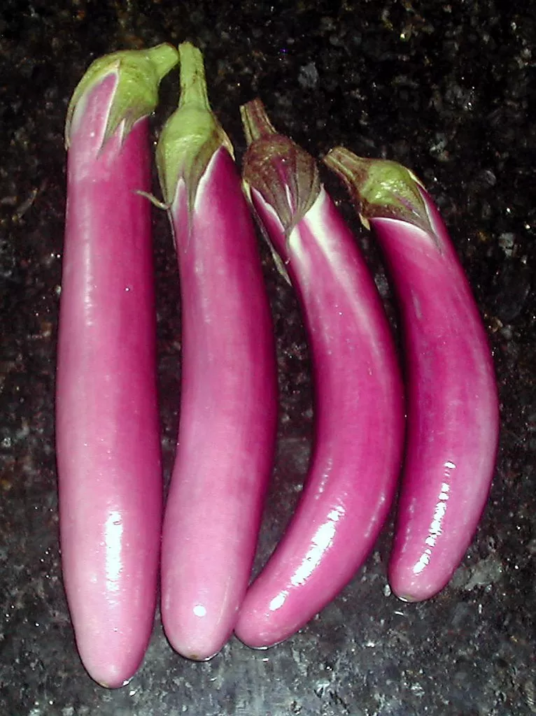 Ping Tung Eggplant