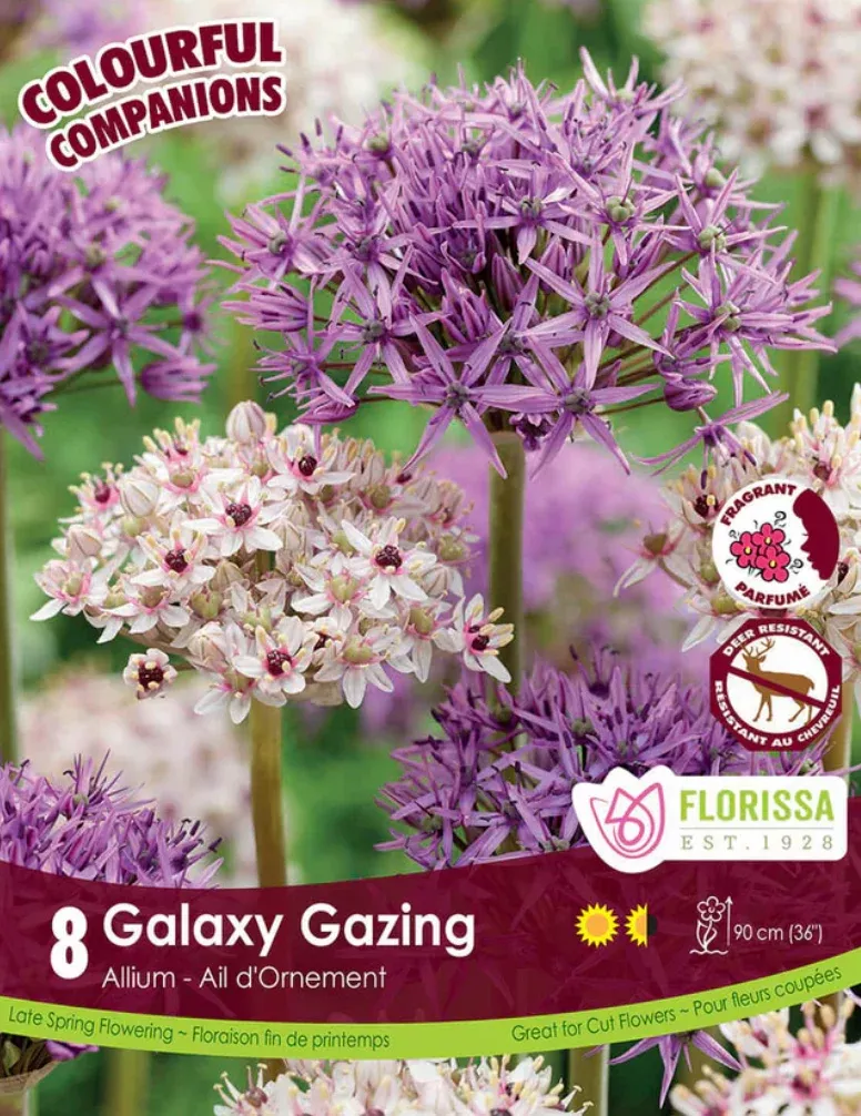 PRE-ORDER Alium | Galaxy Gazing NEW