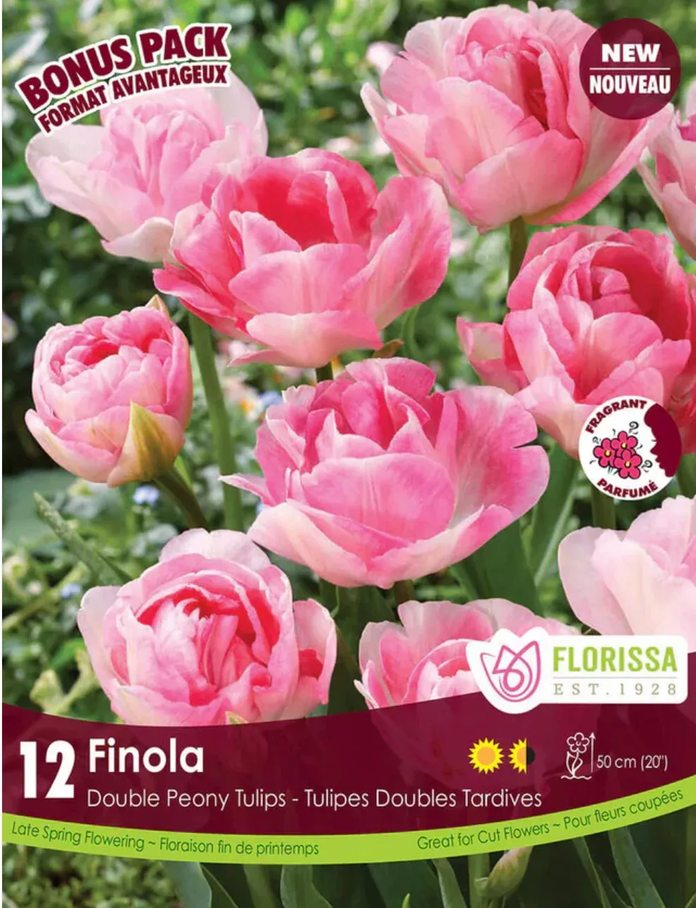 PRE-ORDER Tulip - Finola