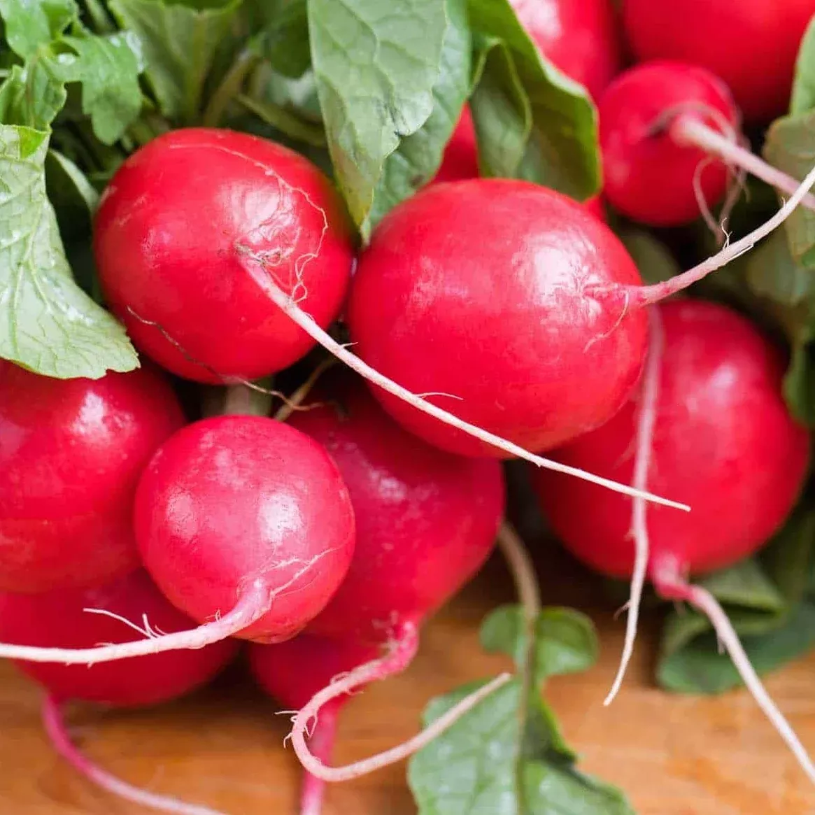 Radish Cherry Belle Seeds