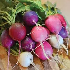 Radish Easter Egg Seeds