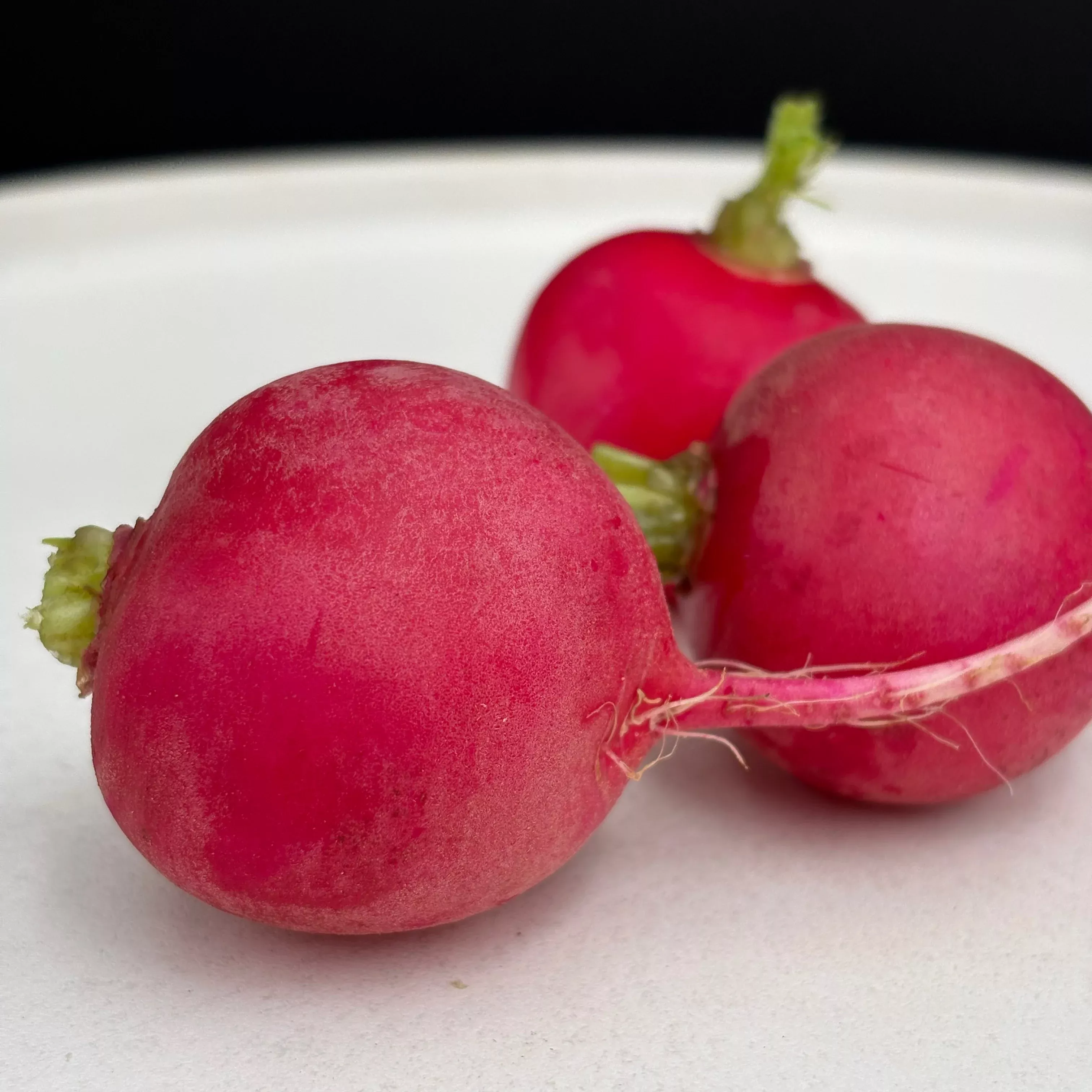 Radish ⁃ Organic Seed Sora