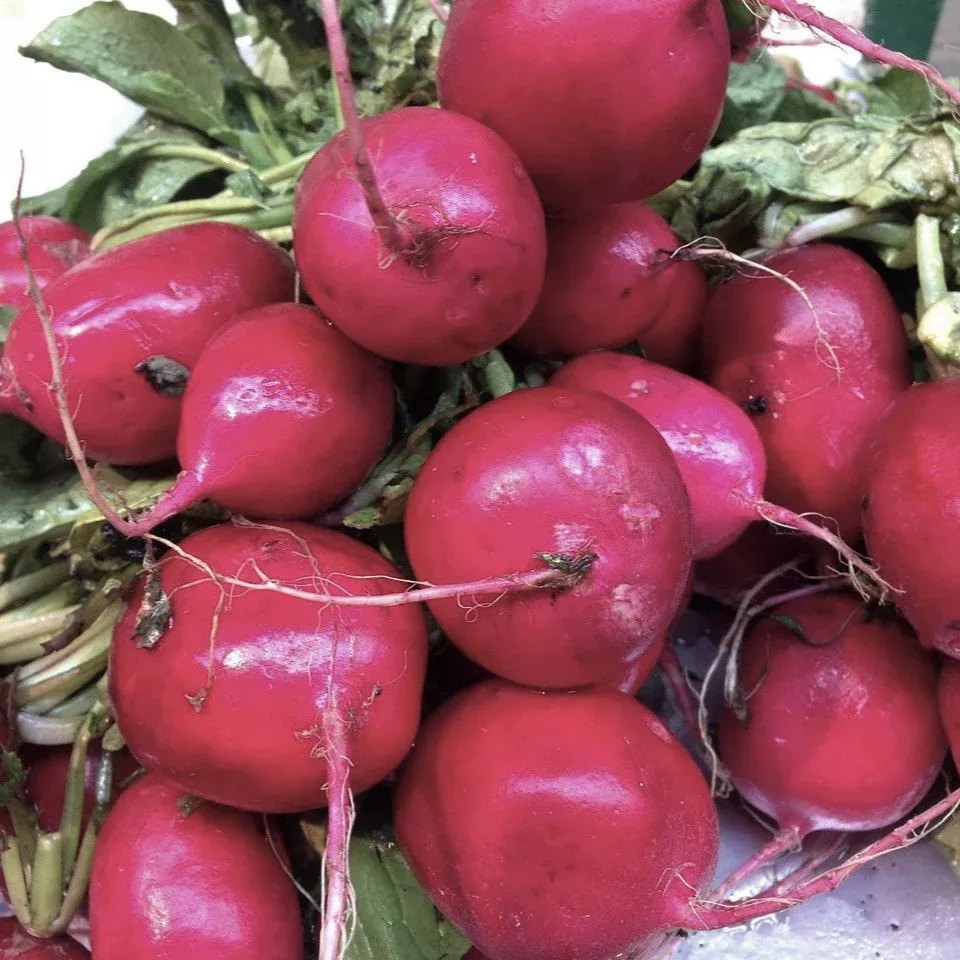 Radish Plum Purple Seeds