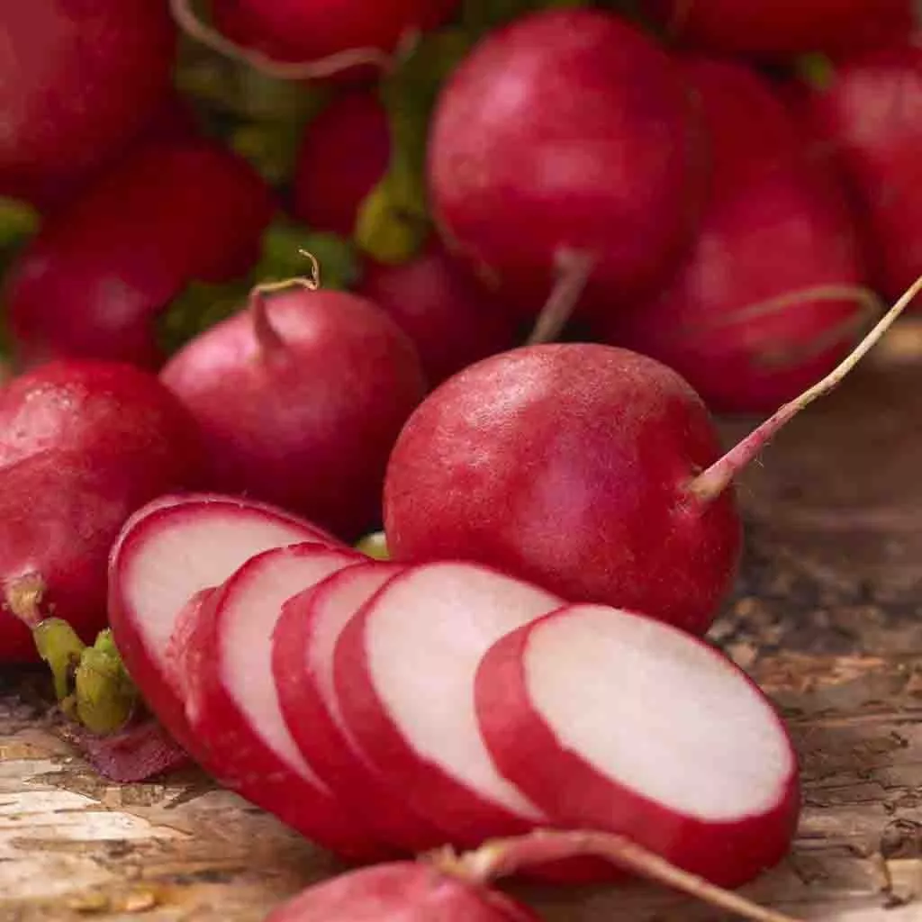 Radish Scarlet Globe Early Seeds