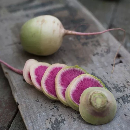 Radish Watermelon Seeds