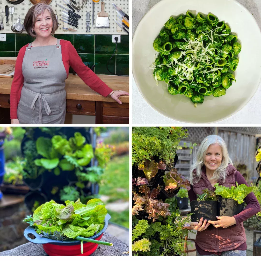 Seasonal Garden Kit + Seasonal Gardening and Cooking Digital Course