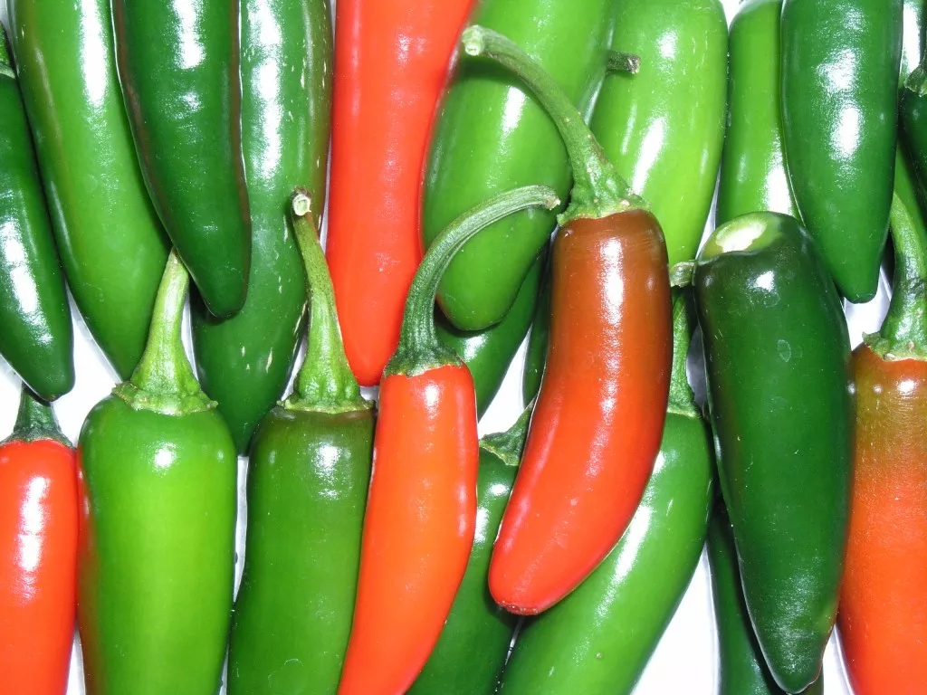 Serrano Tampequino