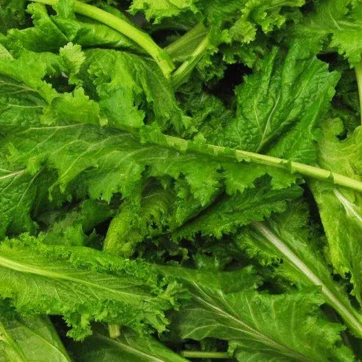 Spicy Brown Mustard Green