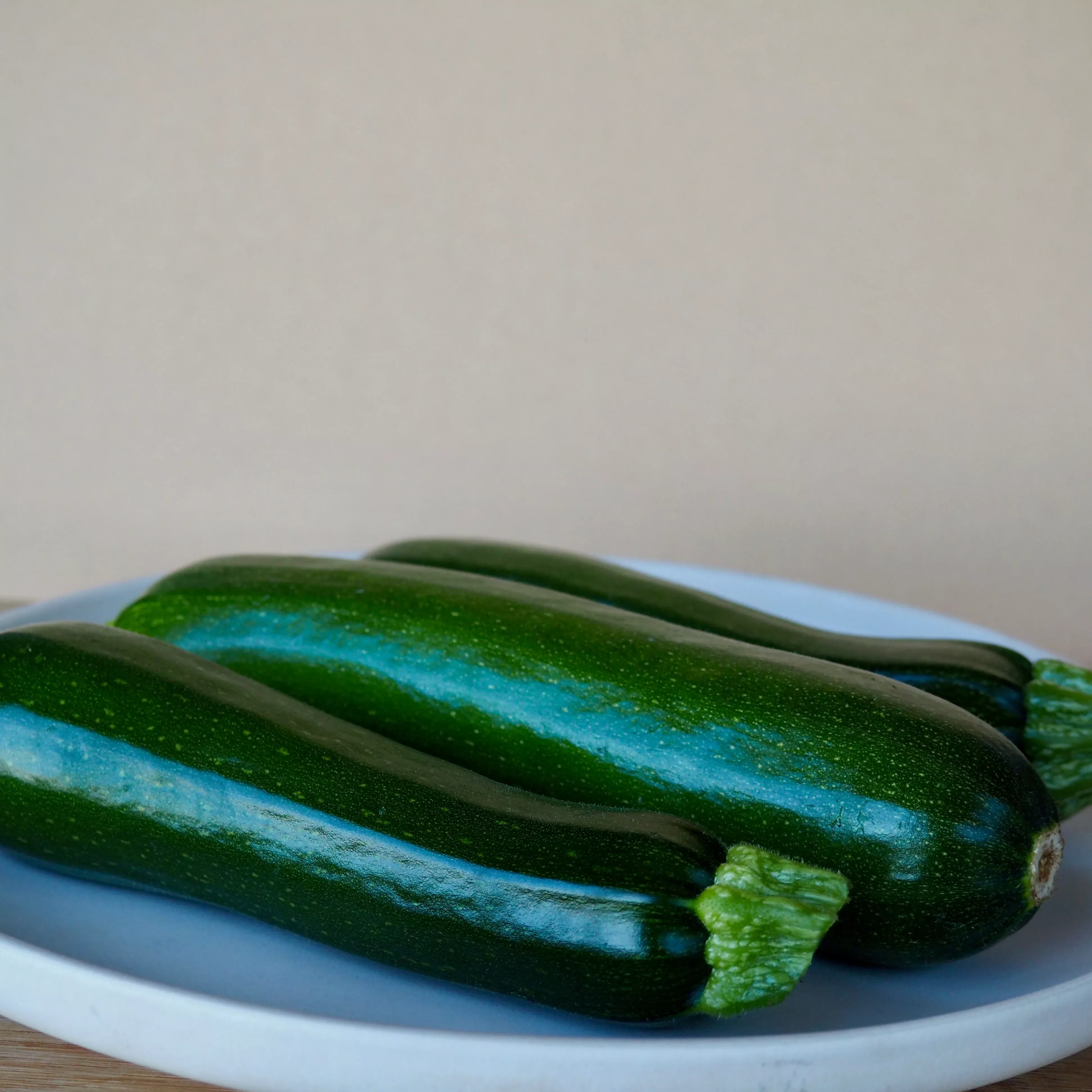 Squash, Summer ⁃ Organic Seed Dark Star