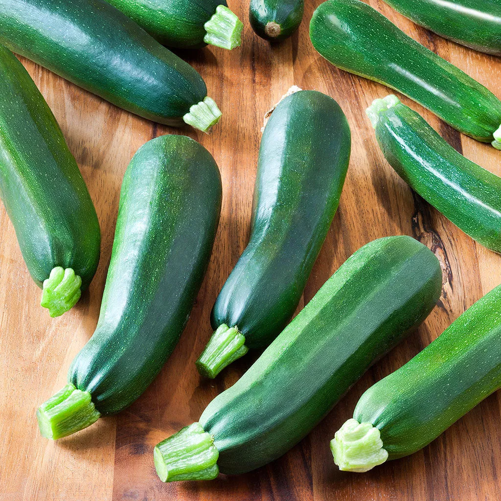 Squash Zucchini Black Beauty Seeds
