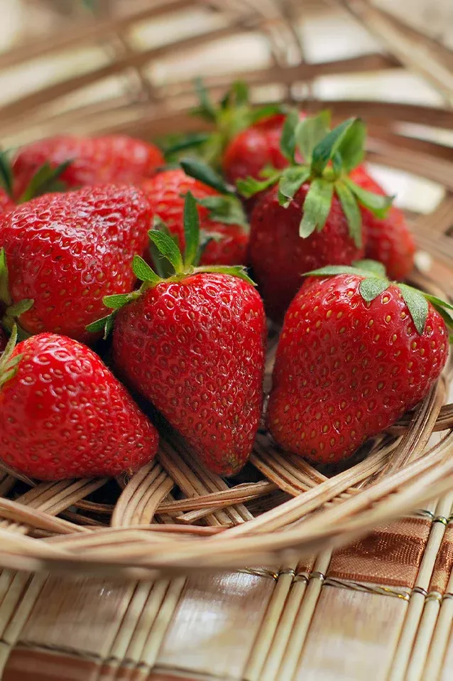 Strawberry | Honeoye (25 Bare Roots)