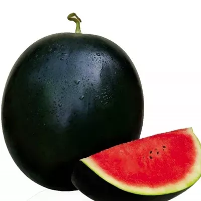 Sugar Baby Watermelon