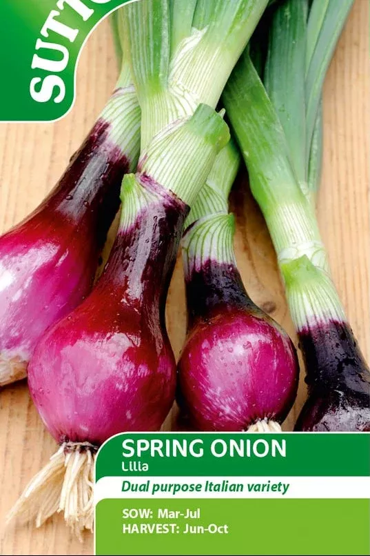 Suttons Seed Tape - Spring Onion