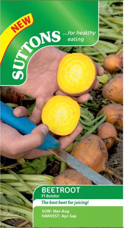 Suttons Seeds - Beetroot F1 Boldor