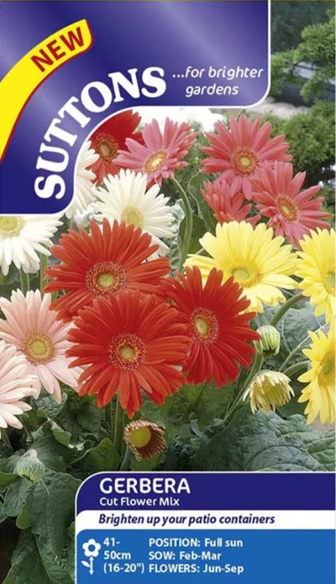 Suttons Seeds - Gerbera 'Cut Flower Mix'