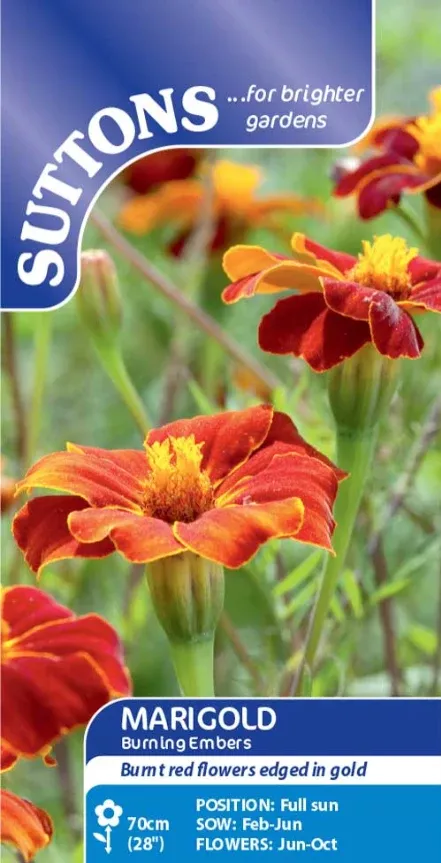 Suttons Seeds - Marigold 'Burning Embers'