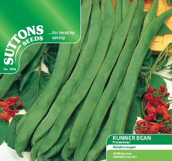 Suttons Seeds - Runner Bean Prizewinner