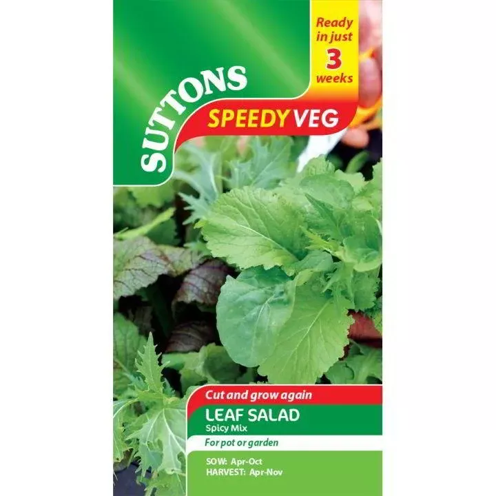 Suttons Seeds - Salad Leaf Spicy Mix