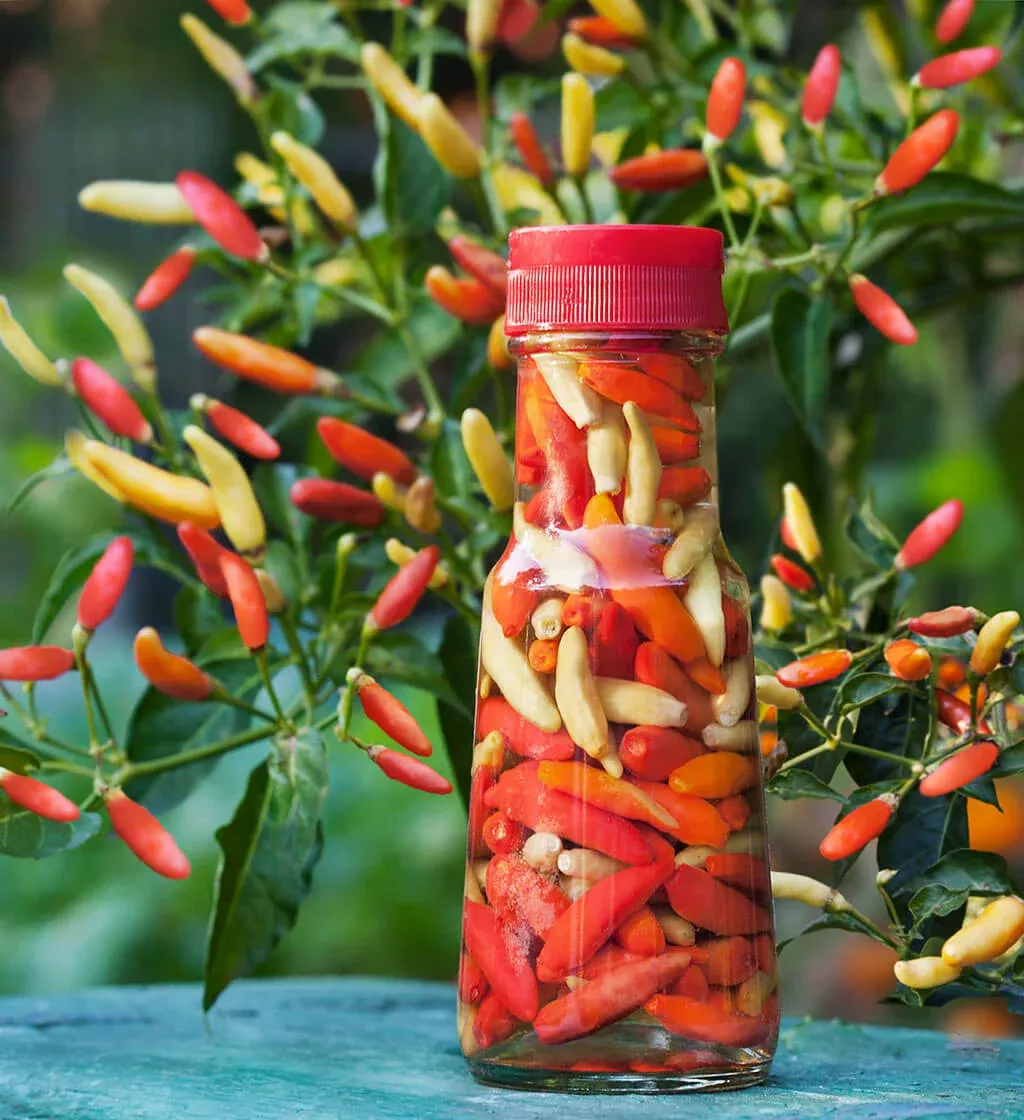 Tabasco Hot Pepper (2 Pack)