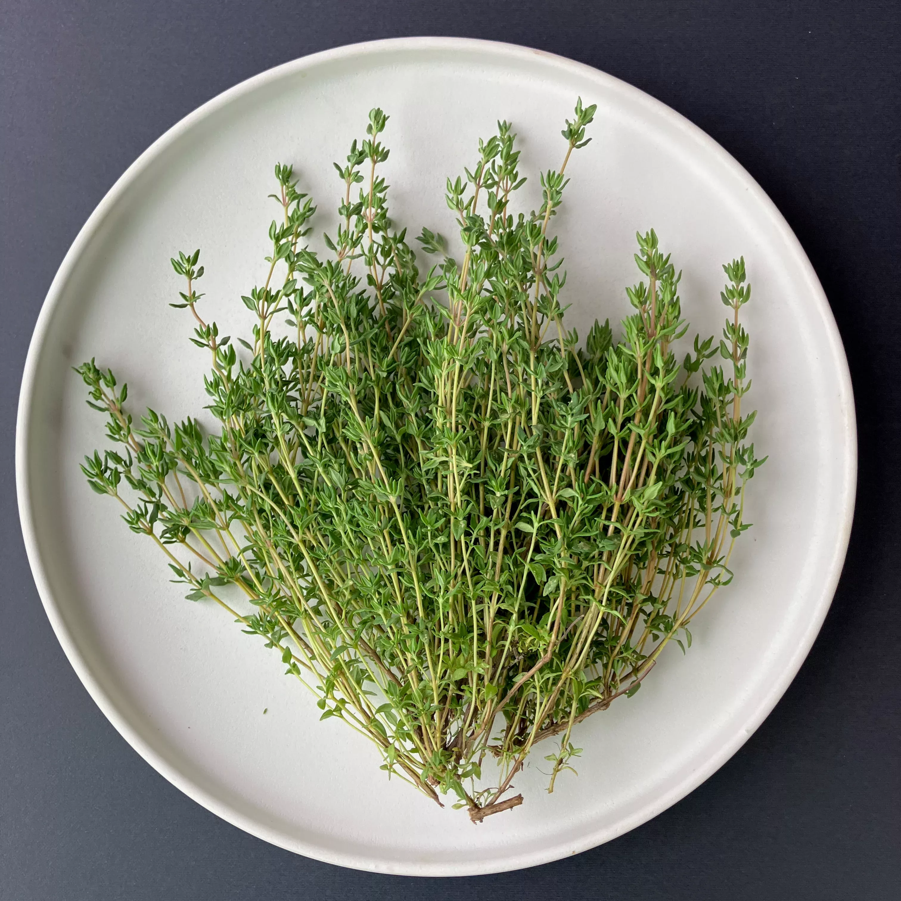 Thyme ⁃ Organic Seed German Winter