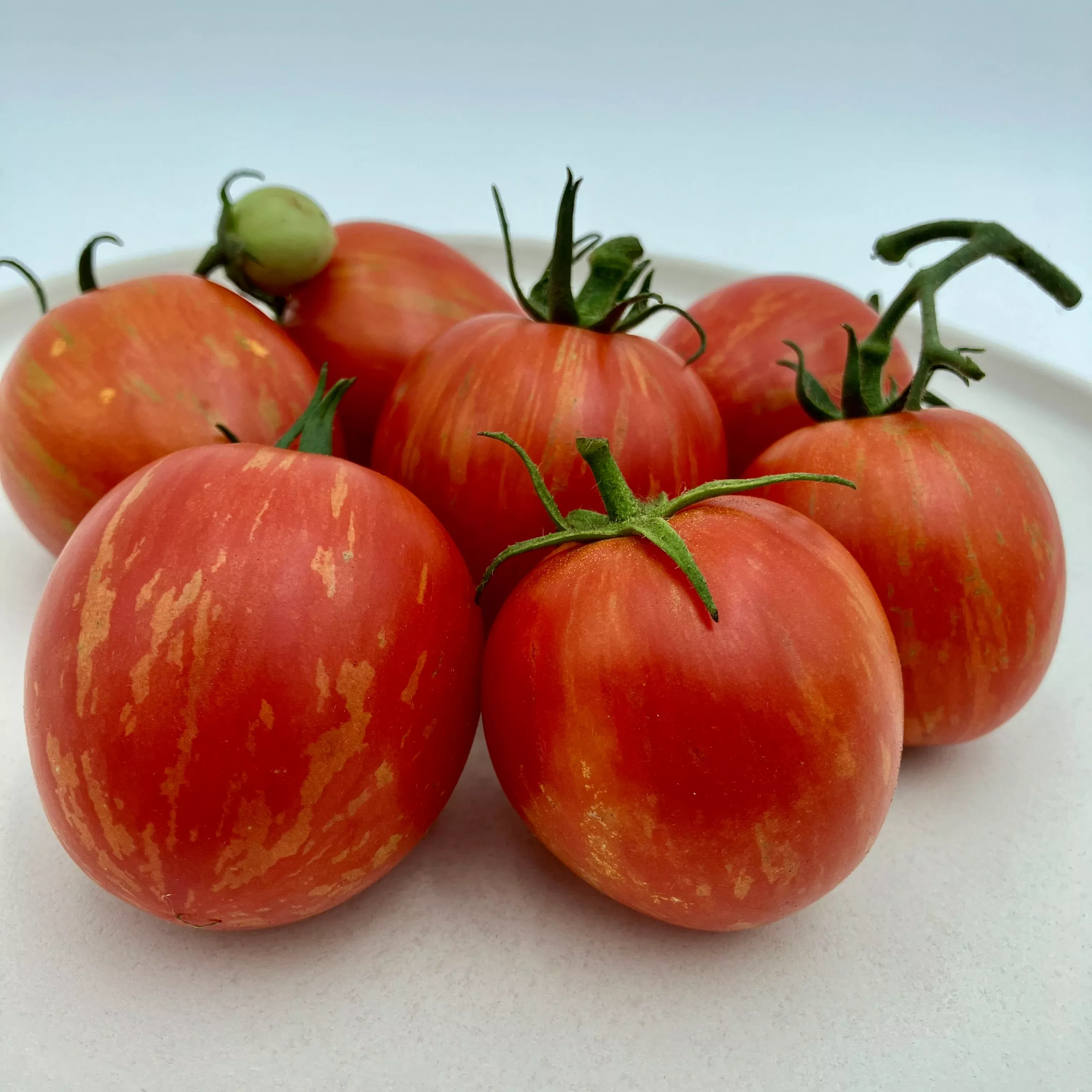 Tomato ⁃ Organic Seed Baby Oxheart