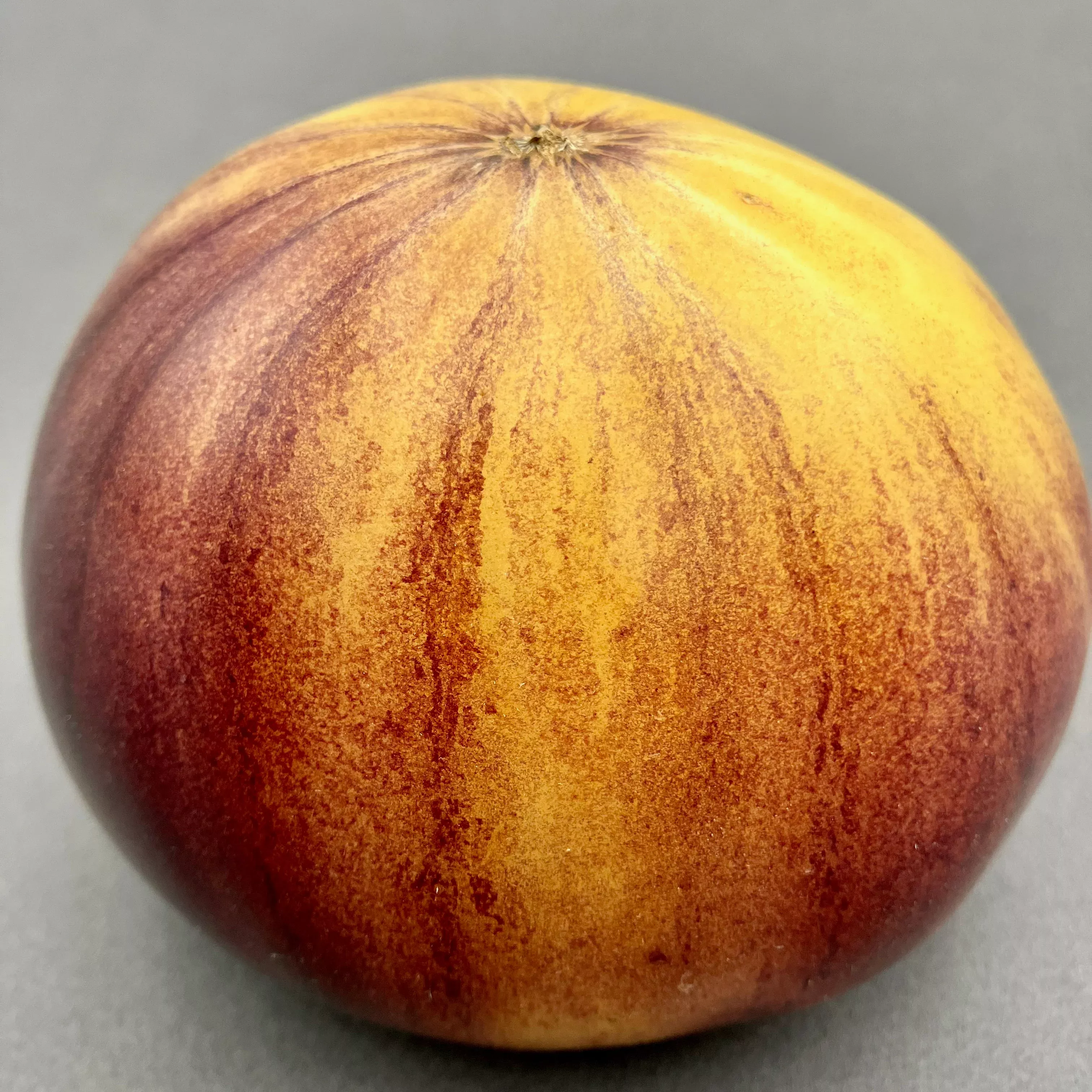Tomato ⁃ Organic Seed Sart Roloise