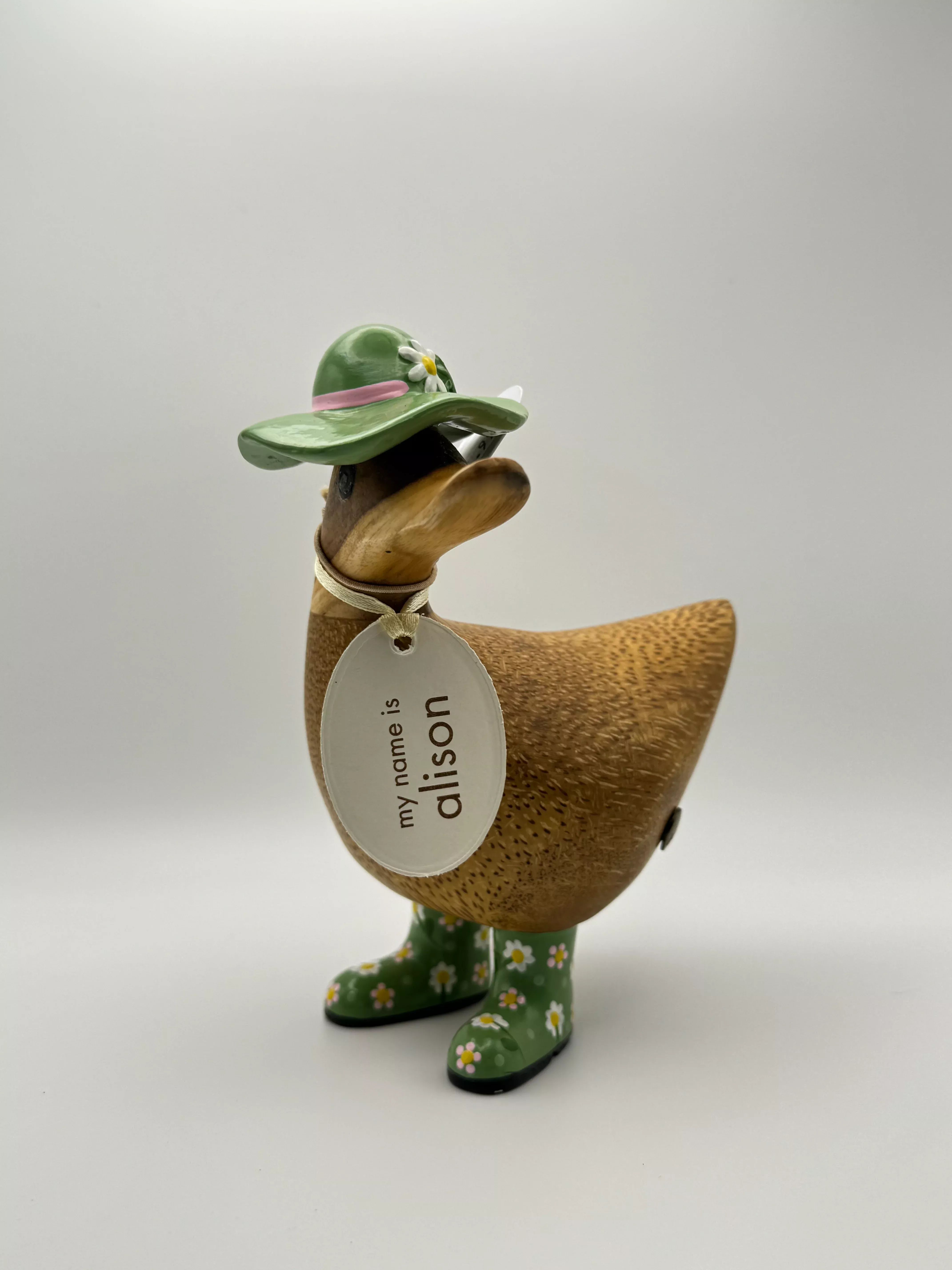 Wooden Duck "Dison"