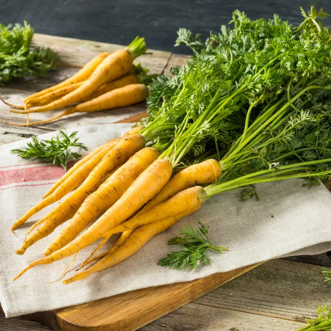 Yellow Hybrid Carrots