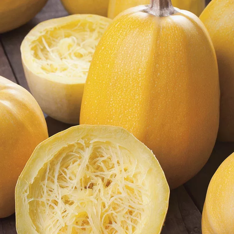 Yellow Spaghetti Squash