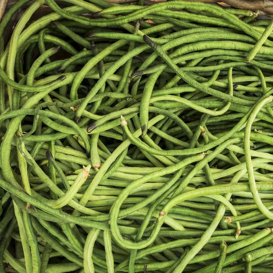 You Fong Wong Black Seeded Yard Long Bean